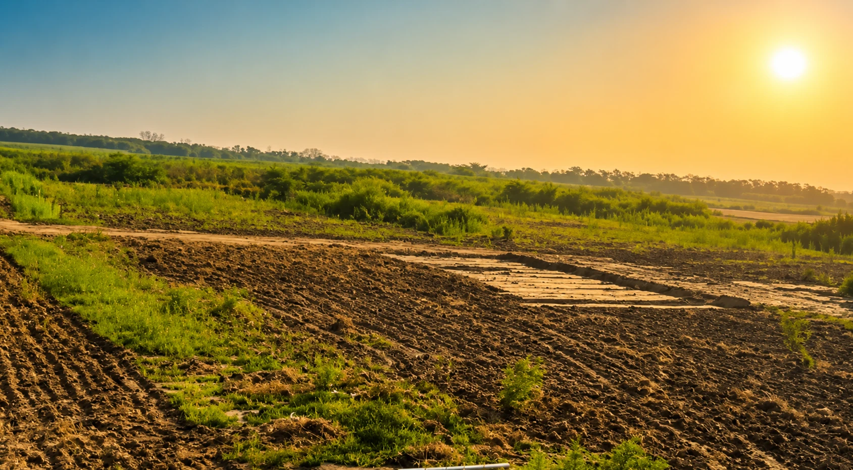 Kunj Bihari - residential plot image 3 in Koshi Kala
