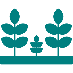 Road Side Plantation for plots in Rajsthan